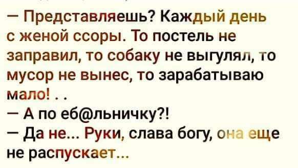 Представляешь Каждый день с женой ссоры То постель не заправил то собаку не выгупял то мусор не вынес то зарабатываю мало А по е6пьничку да не Руки слава богу она еще не распускает