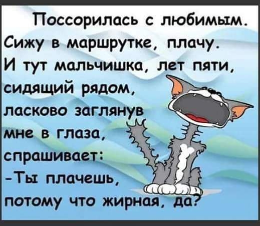 Поссорилась любимым Сижу в маршрутке плачу И тут мальчишка лет пяти сидящий рядом ласково заглянув мне в глаза спрашивает Ть плачешь потому что жирная до