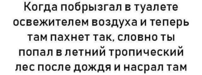 Когда побрызгап в туалете освежитепем воздуха и теперь там пахнет так словно ты попал в летний тропический лес после дождя и насрал там