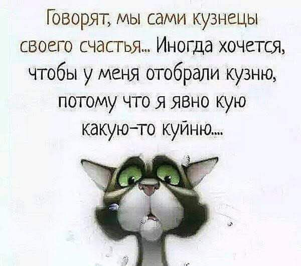 Говорят мы сами кузнецы своего счастья Иногда хочется чтобы у меня отобрали кузню потому что я явно кую какуюто куйню