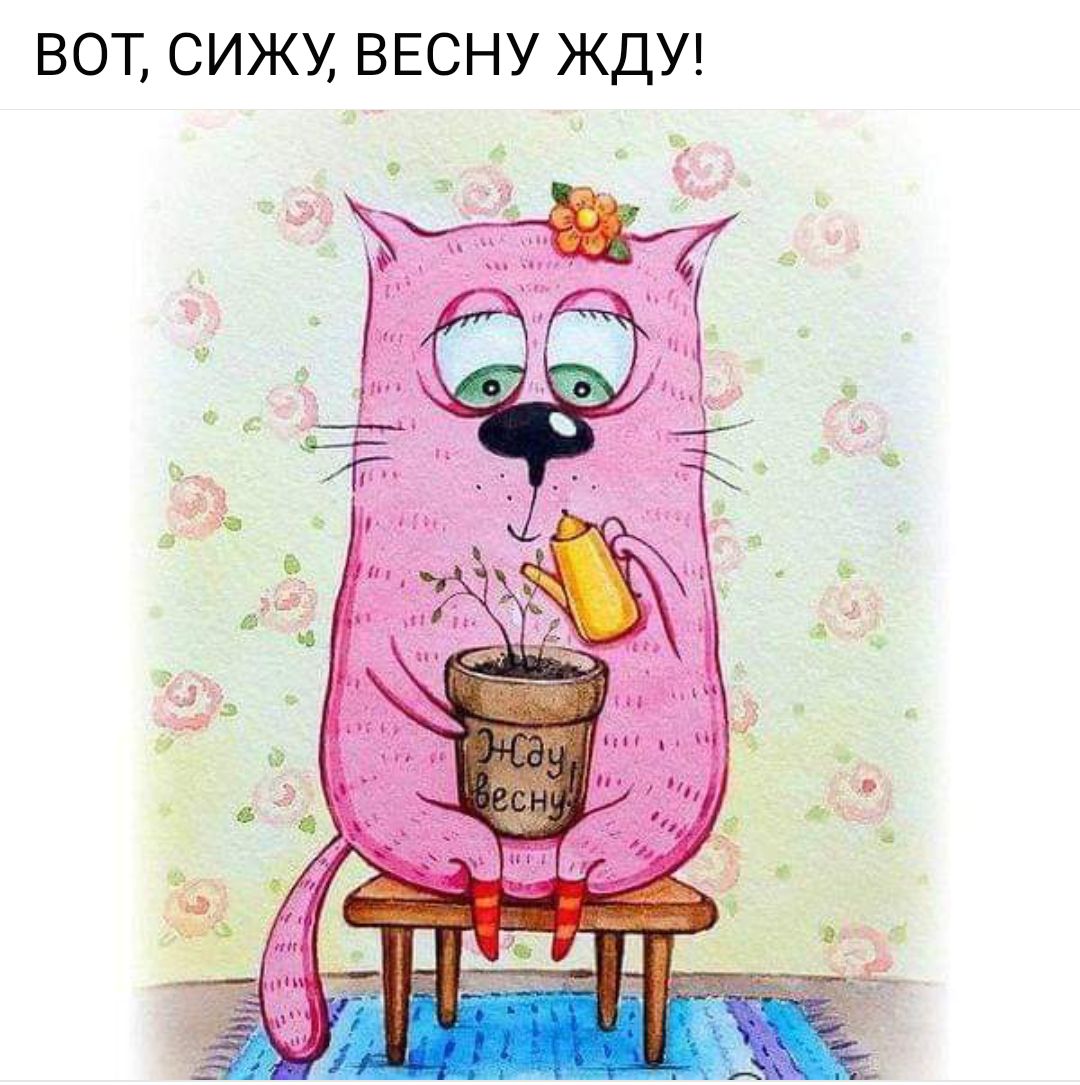 ВОТ СИЖУ ВЕСНУ ЖДУ