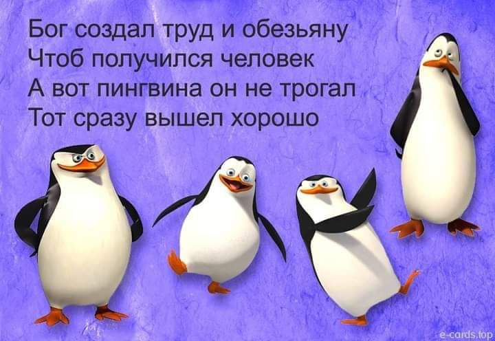 Бог создал х_груд и обезьяну Чтоб получится человек А вот пингвина он не трогал Тот сразу адышел хорошо 94