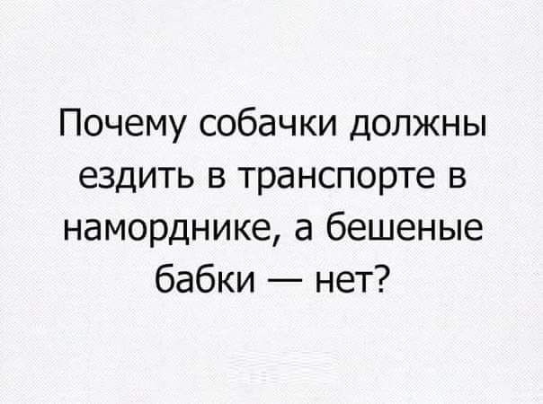 Почему собачки должны ездить в транспорте в наморднике а бешеные бабки нет