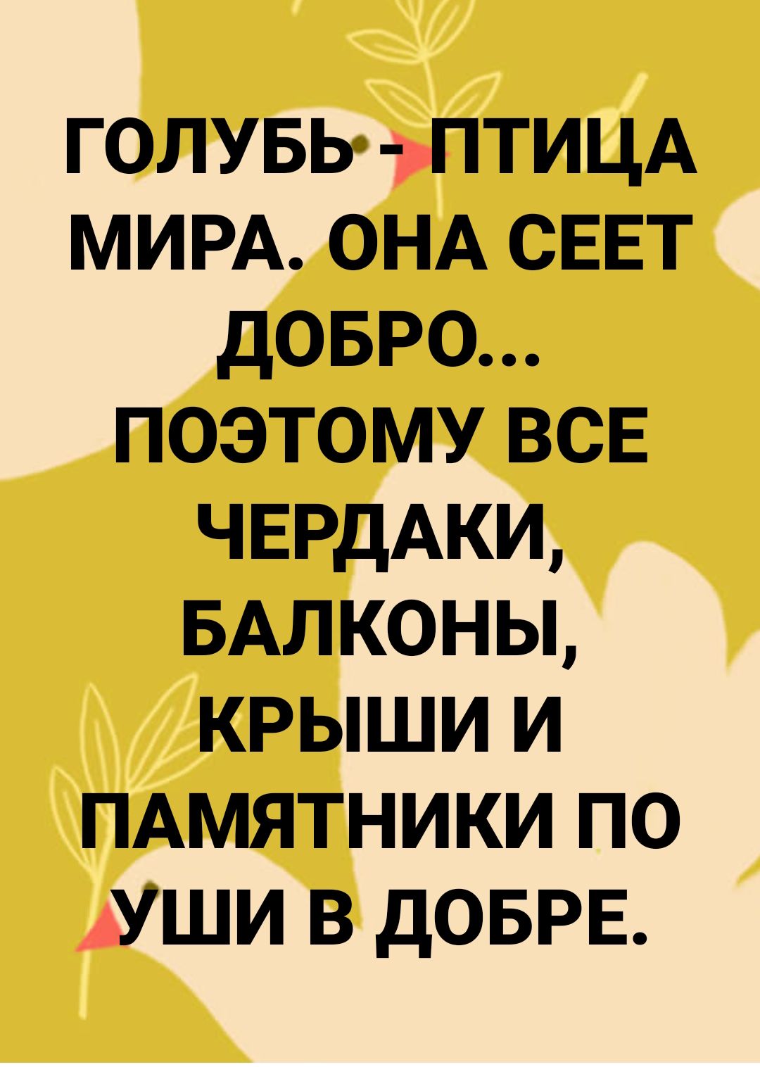 голувь ПТИЦА МИРА ОНА СЕЕТ довро поэтому всв ЧЕРДАКИ БАлконы крыши и пдмятники по уши в дОБРЕ