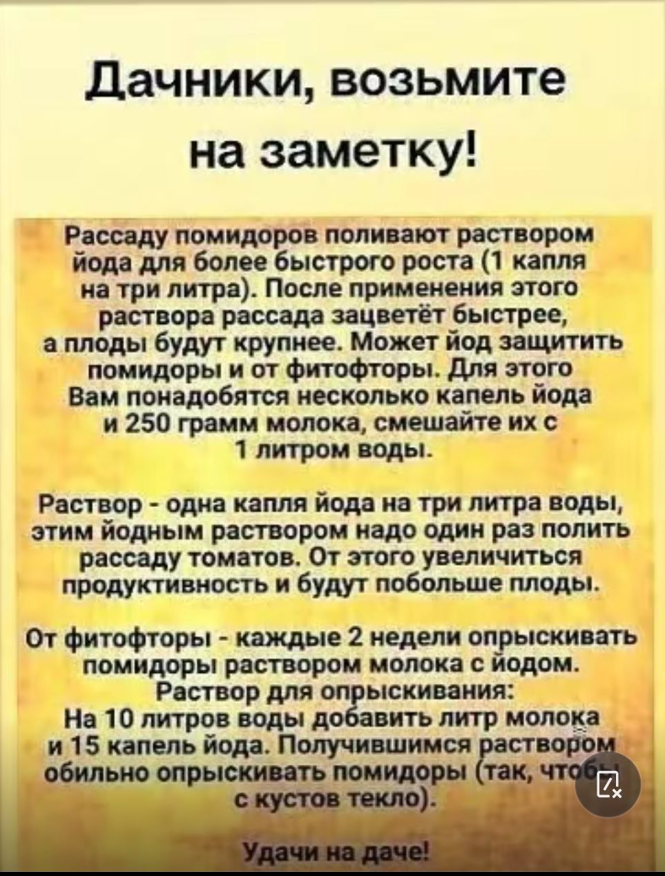 Дачники возьмите на заметку Рашу титро полип от рос порок для боли быстрого роста 1 ками и три литр После применения пого отцом эдикт быстрее плоды будут крупнее Моли йод питт ть помидоры и от Моторы для того вси ионами нисколько к мпь йода и 250 гимн нодом снимай го ик 1 пвп ром воды Рпир ошапшйоддидтритраводы этим йодцым раствором иода одни ра полип ищу тои топ От того уши сит крадут кость будут