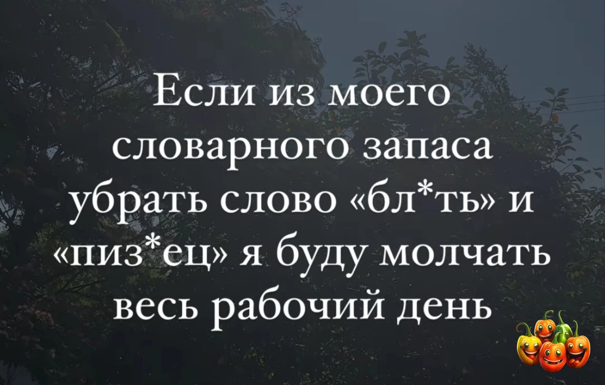 Если из моего словарного запаса убрать слово блть и пизец я буду молчать весь рабочий день