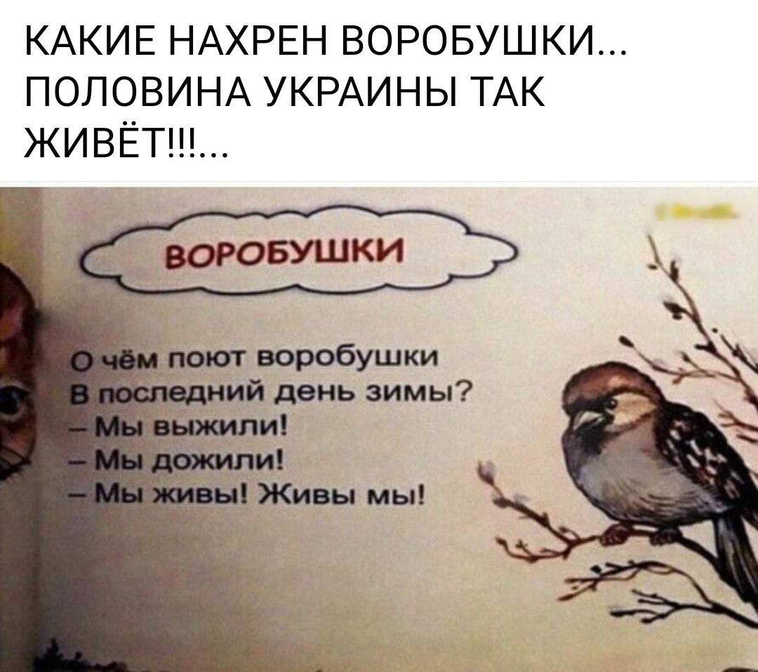 КАКИЕ НАХРЕН ВОРОБУШКИ ПОЛОВИНА УКРАИНЫ ТАК ЖИВЁТ