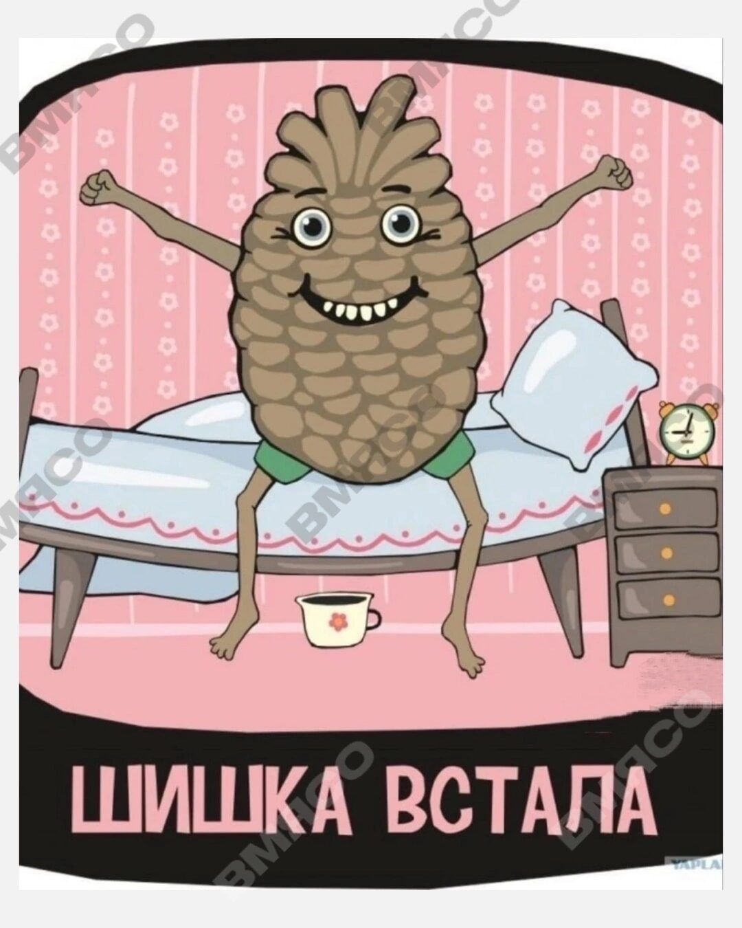 ШИШКА ВСТАПА