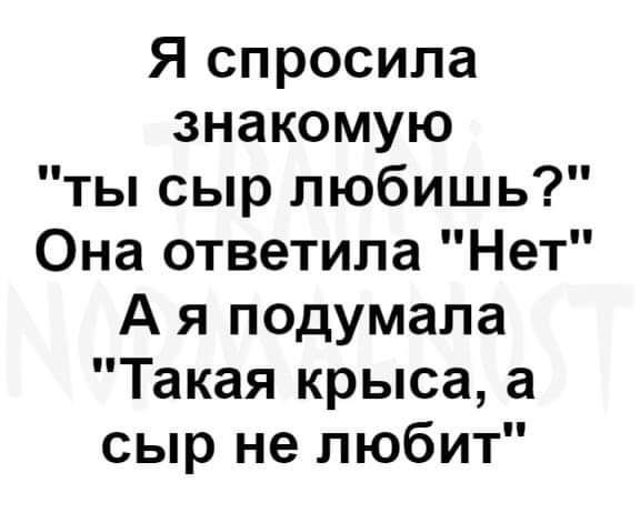 Я спросила знакомую ты сыр любишь Она ответила Нет А я подумала Такая крыса а сыр не любит