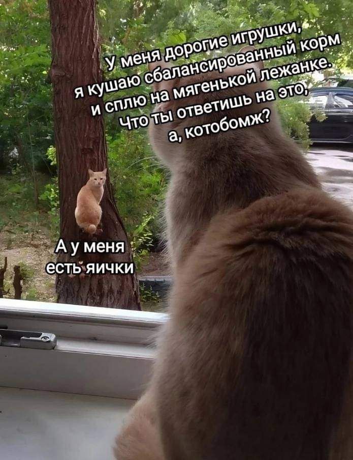 я ты на и ЗППю