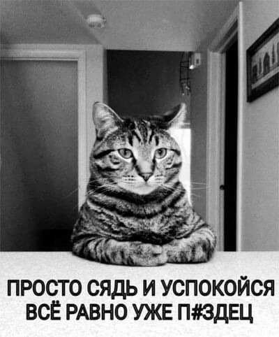 просто сядь и успокойся всі РАВНО УЖЕ пюдвц