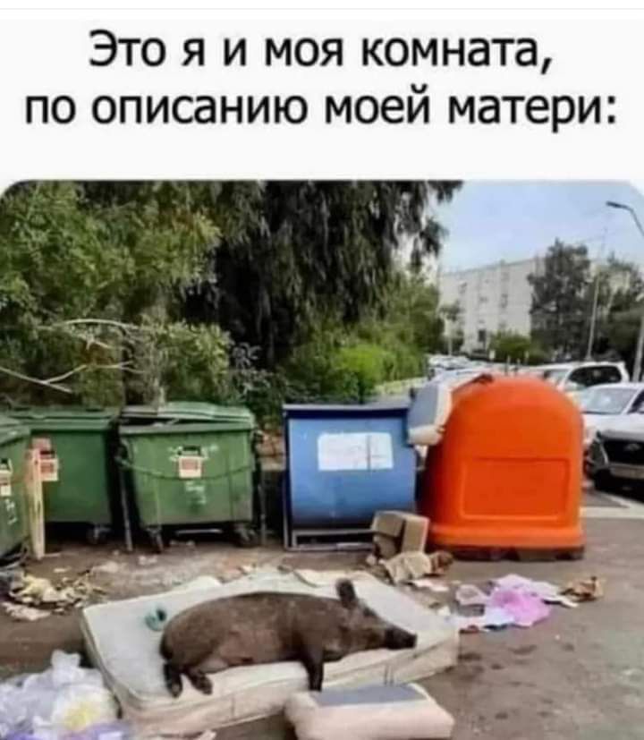 Это я и моя комната по описанию моей матери