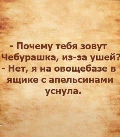 Почему тебя зовут Ебурашка из за ушей Нет я на овощебазе в _ щике с апельсинами уснула