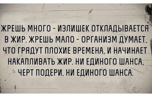 Ё ЖРЕШЬ МНОГО ИЗПИШЕК ОТПМ1ЫВДЕТЗН В ЖИР ЖРЕШЬ МАПП ОРГАНИЗМ ДУМАЕТ ЧТО ГРНДУТ ППОХИЕ ВРЕМЕНА И НАЧИНАЕТ НЛКАППИВАТЬ ЖИР НИ ЕДИНОГО ШАНСЛ ЧЕРТ ПОЦЕРИ НИ ЕДИНОГО ШЛНЕА Е 1