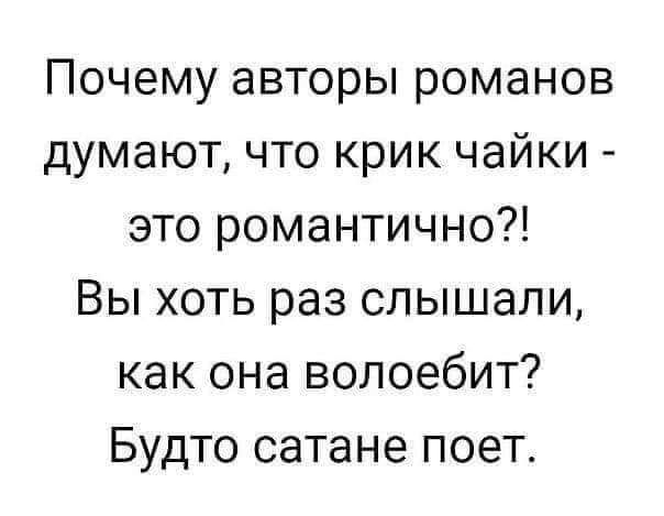 Почему авторы романов думают что крик чайки это романтично Вы хоть раз слышали как она волоебит Будто сатане поет