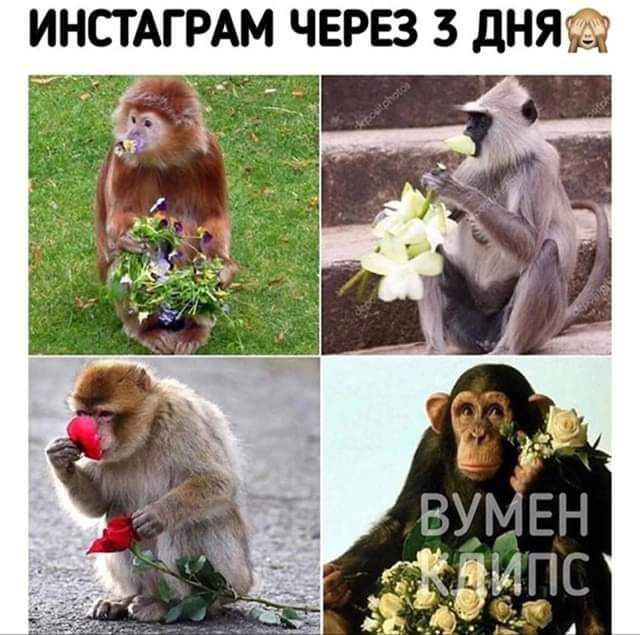 ИНСТАГРАМ ЧЕРЕЗ 3 дня