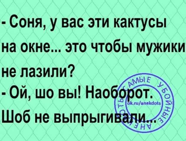 Соня у вас эти кактусы на окне это чтобы мужики не пазили 0й шо вы Нео пё Шоб не выпрыгиЁп А