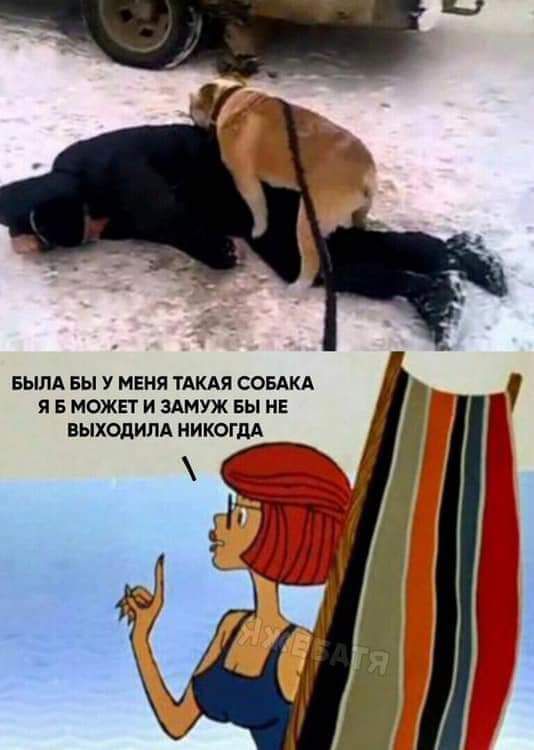 вым вы у меня ТАКАЯ СОБАКА я в ножи и здмуж вы не выходим никогпд