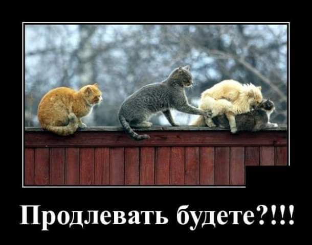 Продлевать будете О
