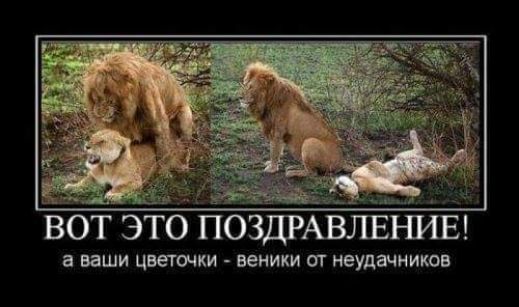 ВОТ ЭТО ПОЗДРАВЛЕНИЕ ВЕЩИ цветочки щи ОТ еудвчииюв