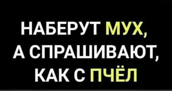 НАБЕРУТ МУХ А СПРАШИВАЮТ КАК С ПЧЁЛ