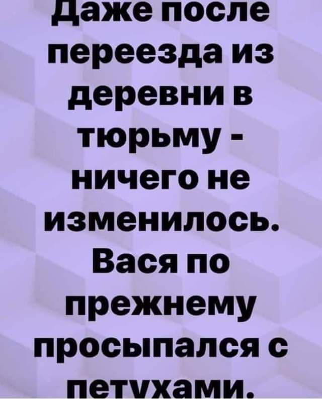 даже после переезда из деревни в тюрьму ничего не изменилось Вася по прежнему просыпался с петчхами