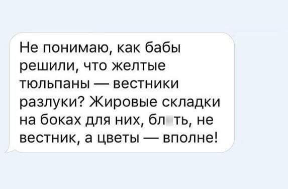 Не понимаю как бабы решили что желтые тюльпаны вестники разлуки Жировые складки на боках для них бп ть не вестник а цветы вполне