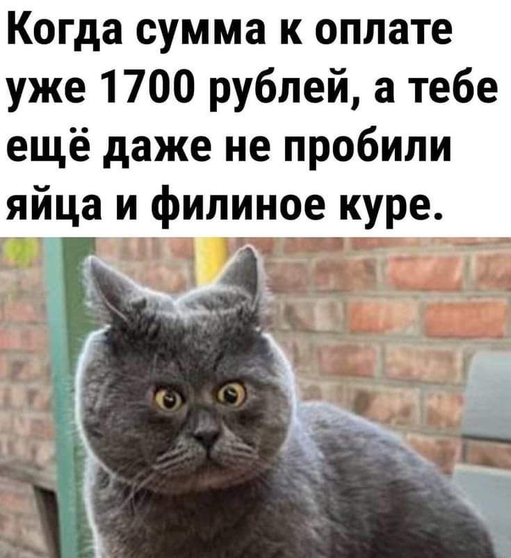 Когда сумма К оплате уже 1700 рублей а тебе ещё даже не пробили яйца и филиное куре Г _ в Ё