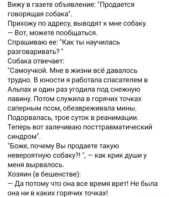 Вижу в газете обьявление Продается говорящая собака Прихожу по адресу выводят к мне собаку Вот можете пообщаться Спрашиваю ее Как ты научилась разговаривать Собака отвечае Самоучкой Мне в жизни всё давалось трудно В юности я работала спасателем в Альпах и один раз угодила под снежную лавину Потом служила в горячих точках саперным псом обезвоеживала мины Подорвапась трое суток в реанимации Теперь в