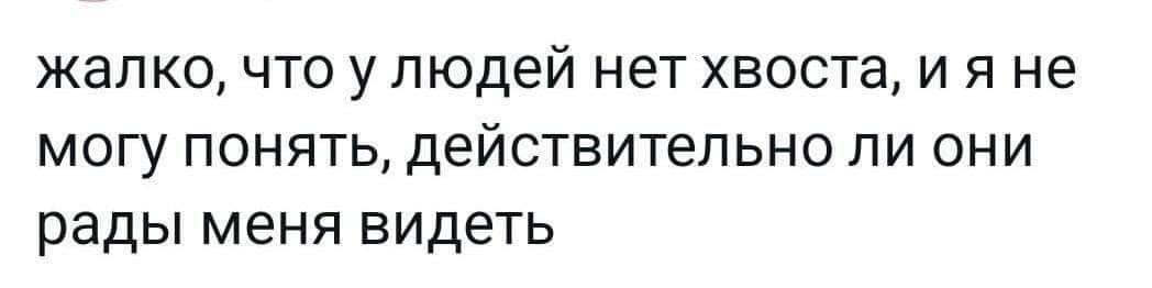 ЖЗПКО ЧТО у ЛЮДЕЙ нет ХЕОСТЗ И Я не МОГУ ПОНЯТЬ ДЁЙСТВИТЭЛЬНО ЛИ ОНИ рады меня ВИДЕТЬ