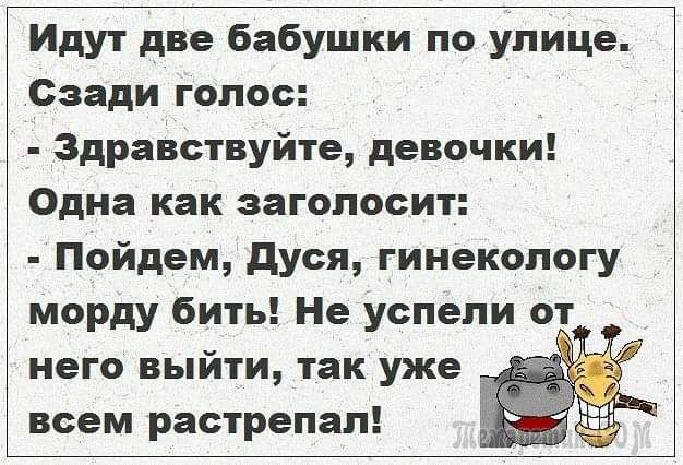Идут две бабушки по улице Сзади голос Здравствуйте девочки Одна как загопосит Пойдем дуся гинекологу морду бить Не успели него выйти так уже всем растрепап