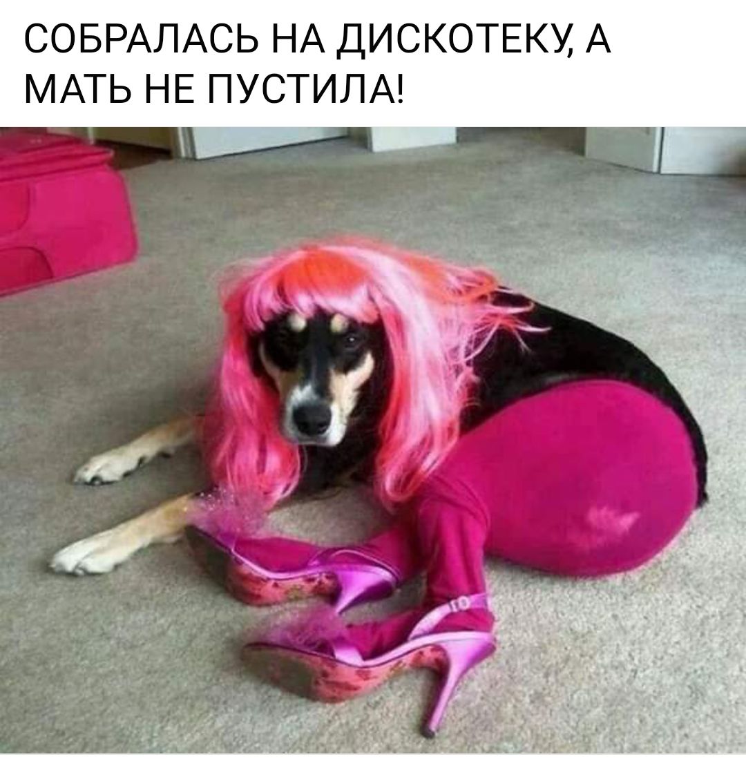 СОБРАПАСЬ НА ДИСКОТЕКУ А МАТЬ НЕ ПУСТИЛА А __ Ч
