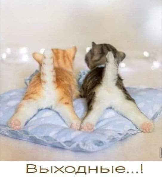 Вьпходньпе