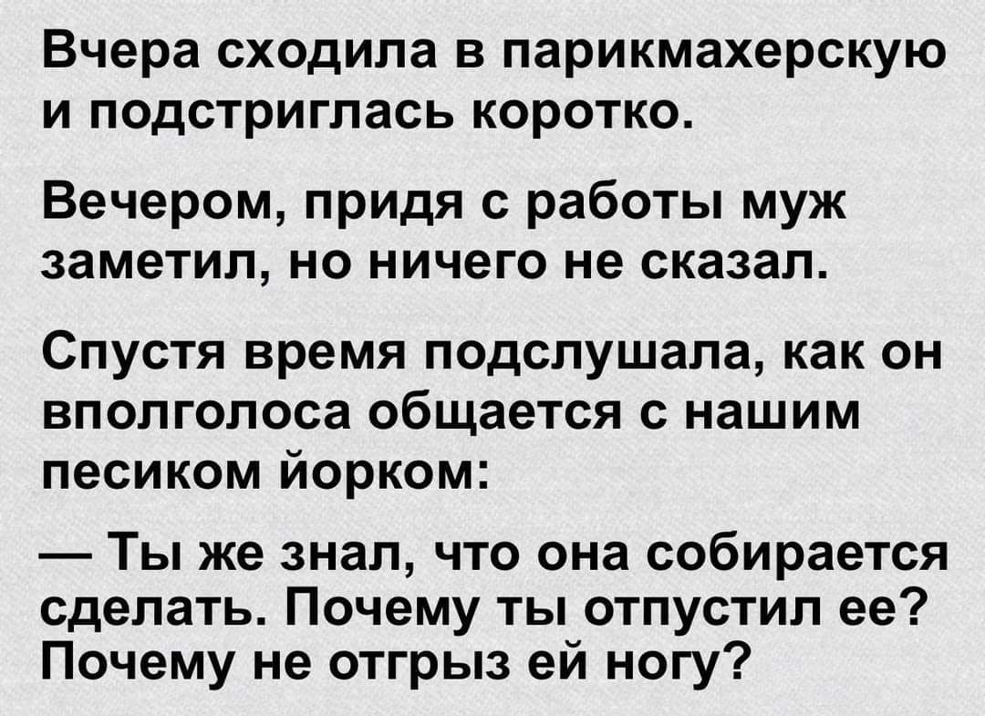 Вчера сходила в парикмахерскую и подстриглась коротко Вечером придя с работы муж заметил но ничего не сказал Спустя время подслушала как он вполголоса общается с нашим песиком йорком Ты же знал что она собирается сделать Почему ты отпустил ее Почему не отгрыз ей ногу