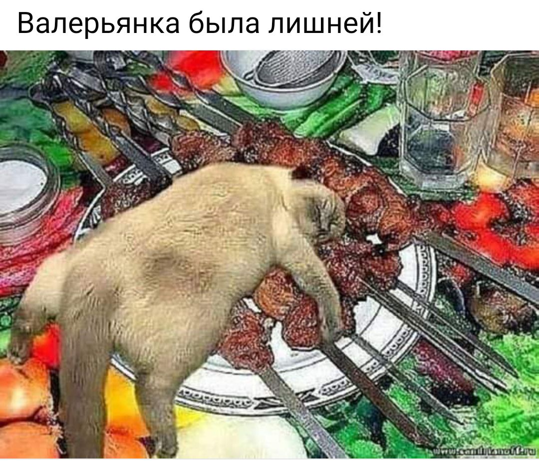 Валерьянка быпа лишне