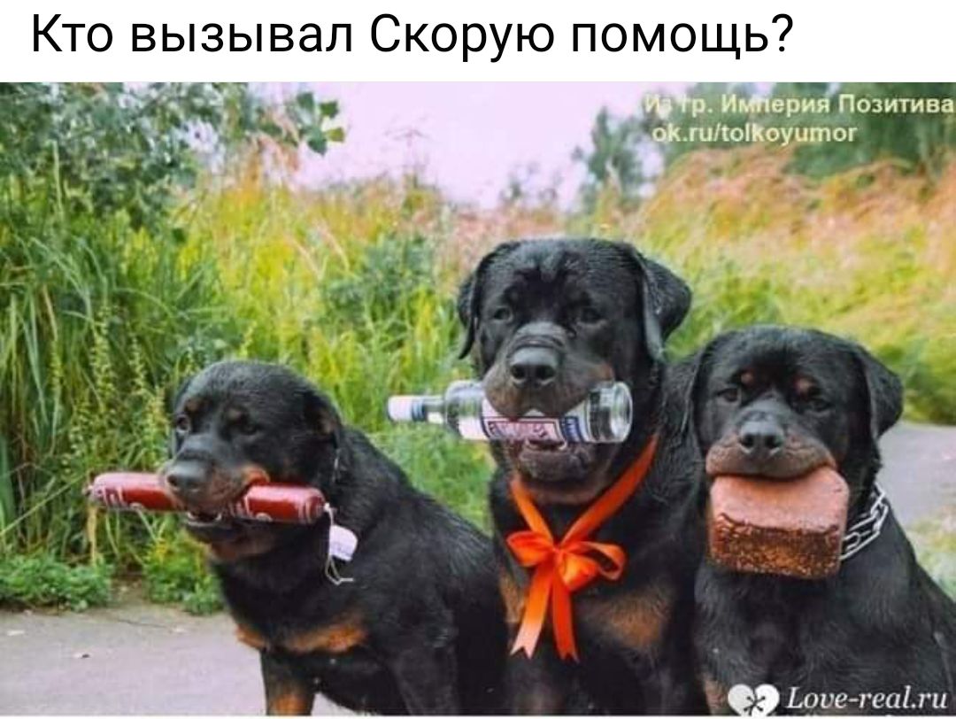 Кто вызывал Скорую помощь м 4 шыш