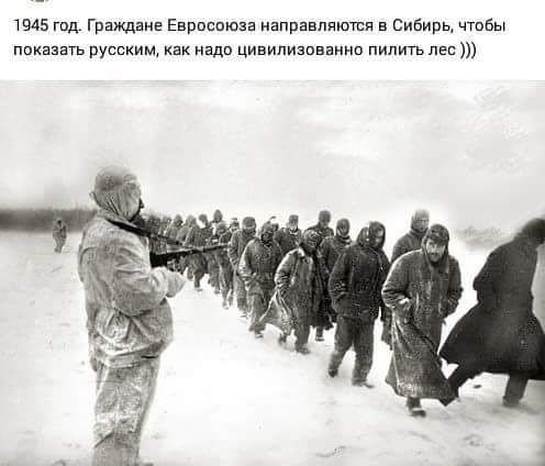45 ггщ Граждане Евросоюза направляются в Сивипь чт вы наказать русским как надо цивилизованно питпь пес