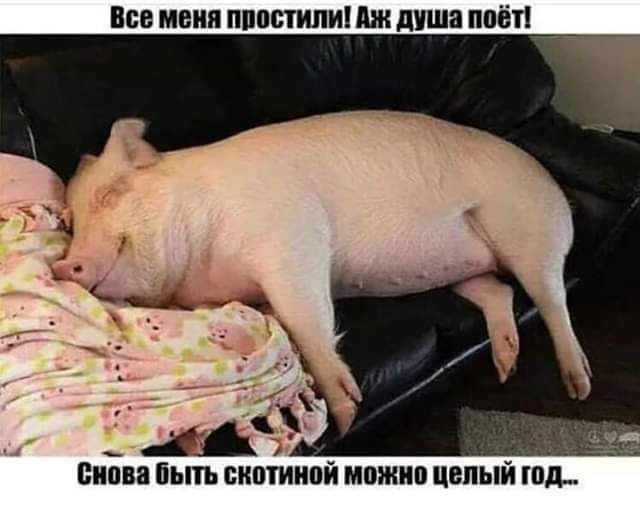 ВСЕ МЕИП ППППЪШИАЖ дШі поб