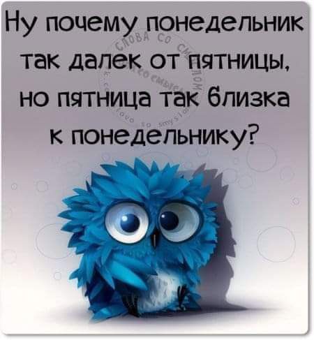 Ну почему 9недепьник так далёк от ятницы но пятница таЁ близка к понедельнику