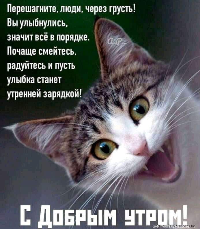 Перешатиче люди через грусть Вы улыбнулись значит всё в порядке а Почаще смейтесь 4 радуйтесь и пусть улыбка станет утренней зарядкой