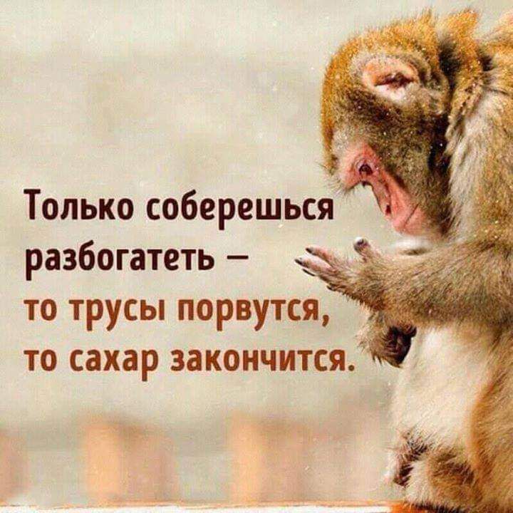 Только соберешься разбогатеть то трусы порвутся то сахар закончится