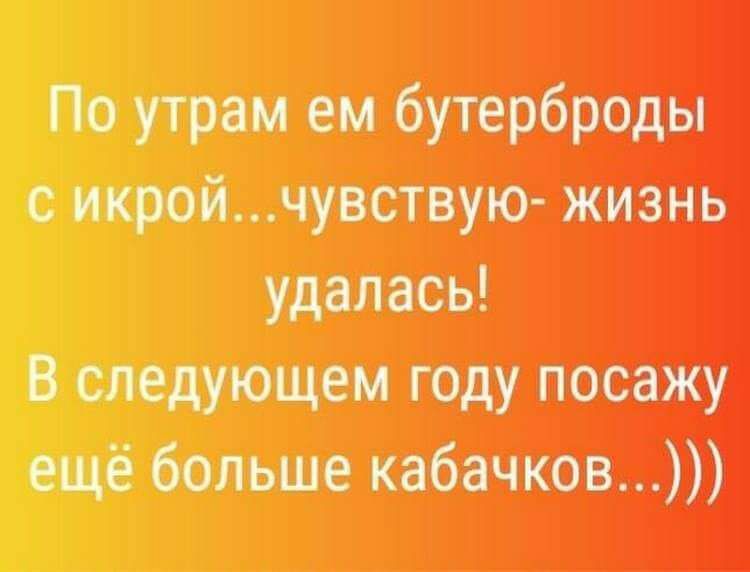 стрейч апр Ватттыщ