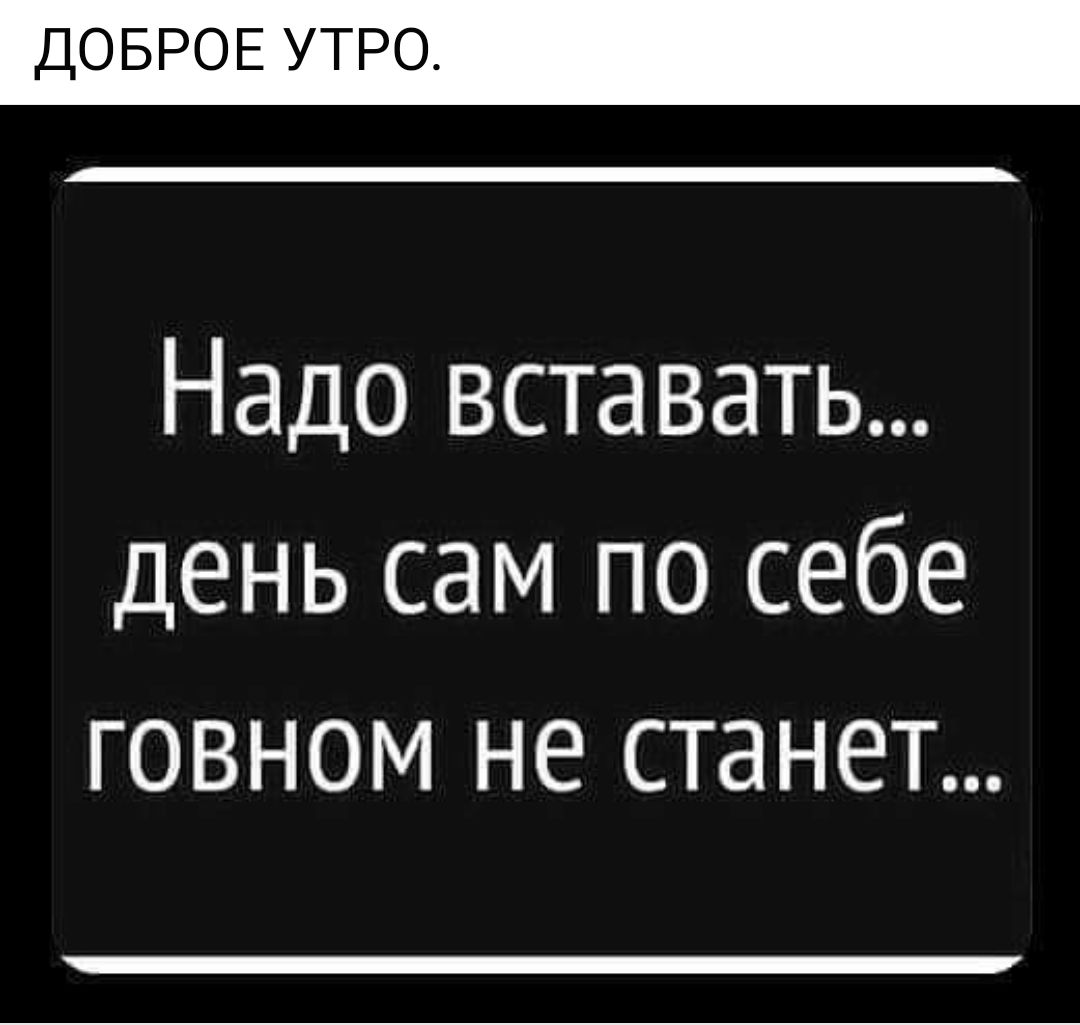 ДОБРОЕ УТРО Надо вставать день сам по себе говном не станет