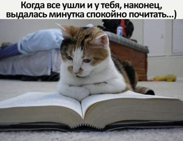 Когда все ушли и утебя наконец выдалась минута спокоино почитать