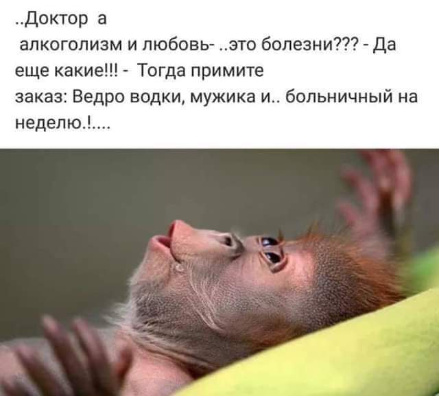 Доктор а алкоголизм и любовь это болезни Да еще какие Тогда примите заказ Ведро водки мужика и больничный на неделю Аг
