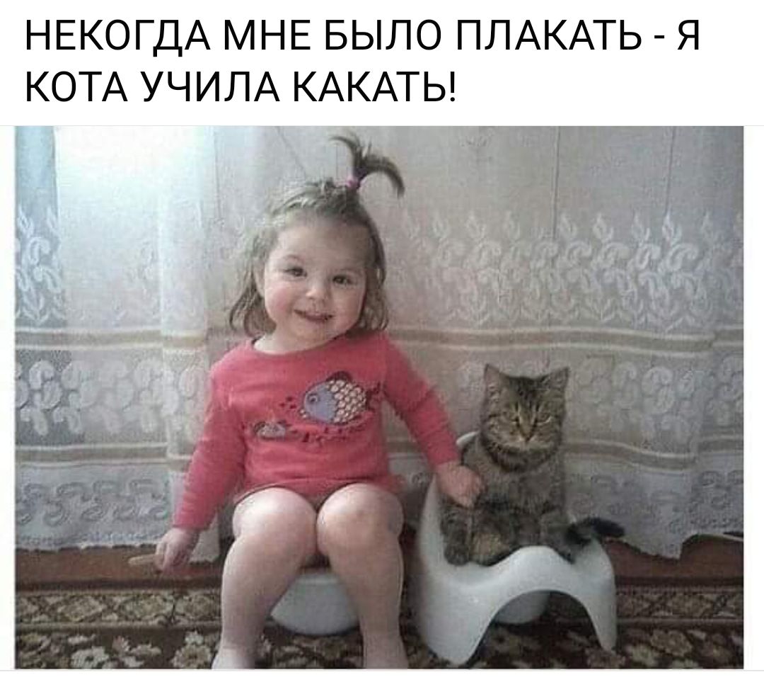 НЕКОГДА МНЕ БЫЛО ППАКАТЬ Я КОТА УЧИЛА КАКАТЬ
