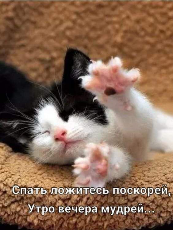 ера мудреи о вёч Утр