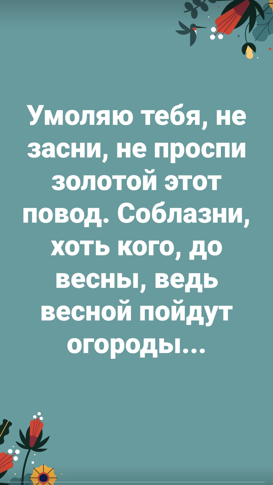 Умоляю тебя не засни не проспи золотой этот повод Соблазни хоть кого до весны ведь весной пойдут огороды ЁЁ