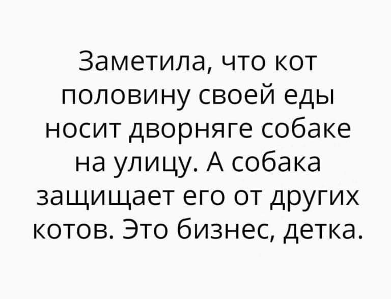 Заметила что кот половину своей еды носит дворняге собаке на улицу А собака защищает его от других котов Это бизнес детка