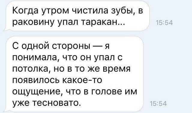 Когда утром чистила зубы в раковину упал таракан С одной стороны я понимала что он упал с ПОТОЛКЭ НО В ТО ЖЕ время появилось какое то ощущение что в голове им уже тесновато